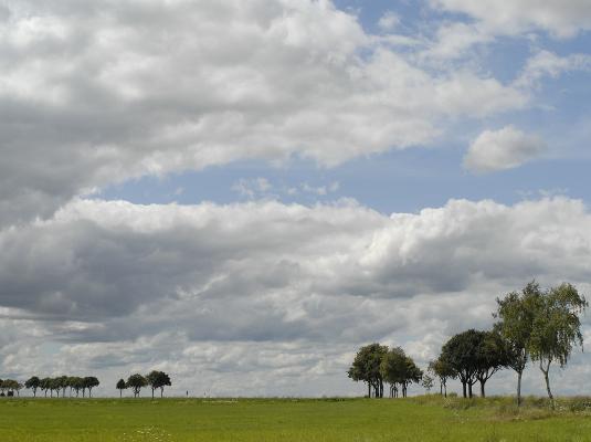 Wolken Himmel Wiese